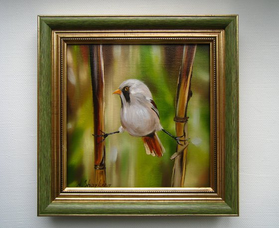 Charming Bird Oil Painting