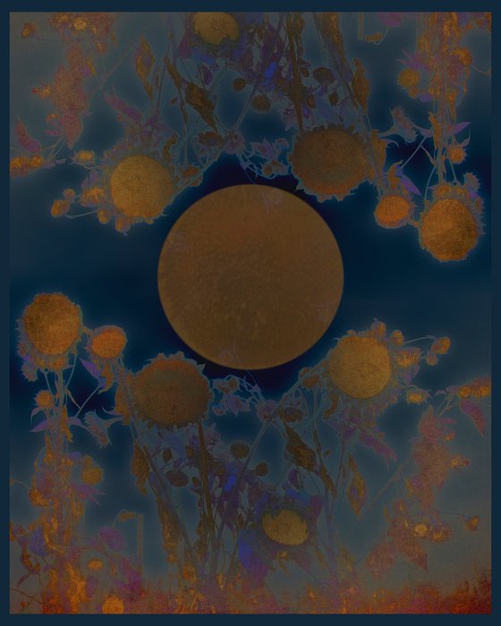 Sunflowers at Midnight