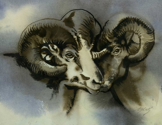 Two rams watercolor