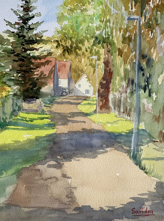 Sunny Country Street