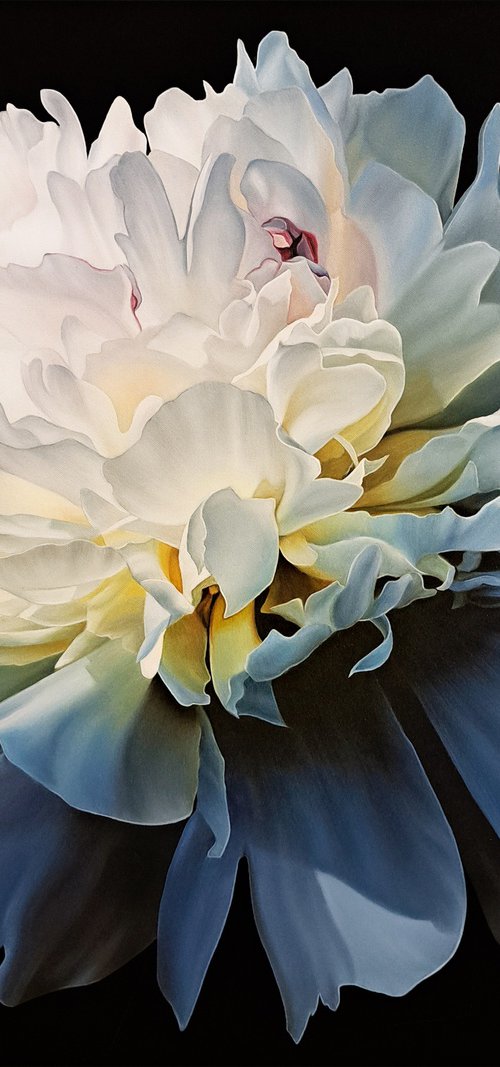 Peony soul by Anna Steshenko