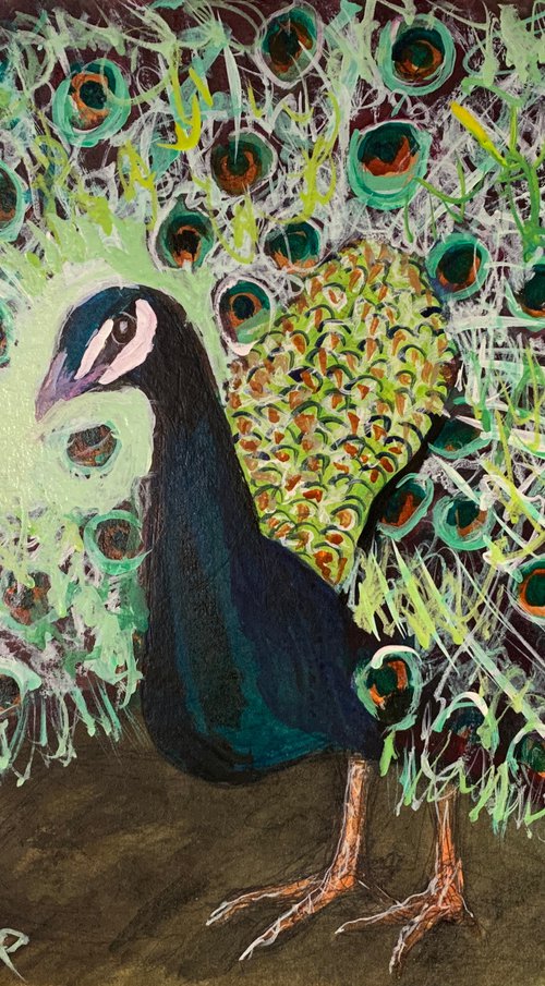 Peacock by Ryan  Louder