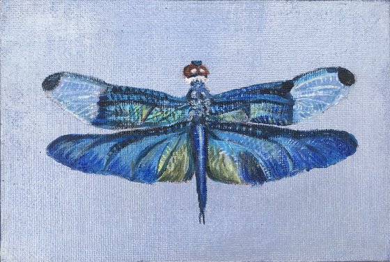 BLUE DRAGONFLY