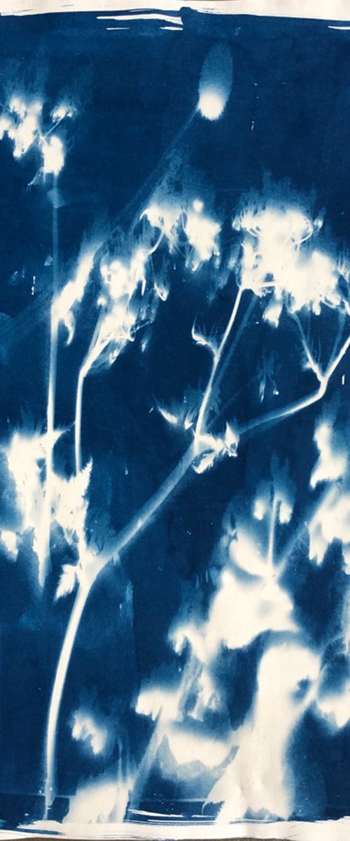 Blurred Flowers - Cyanotype by Georgia Merton