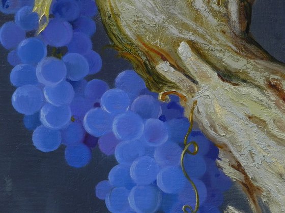 “The charm of the grapevine”