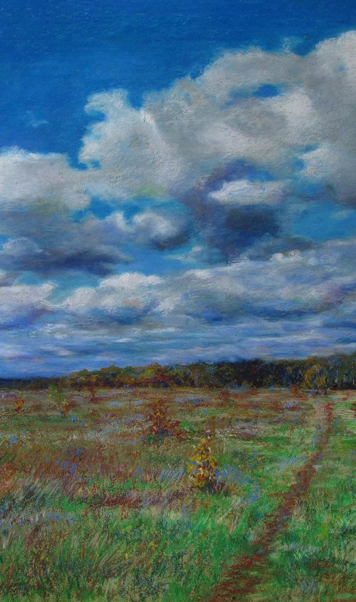 The Windy Cloudy Day - sky landscape by Nikolay Dmitriev