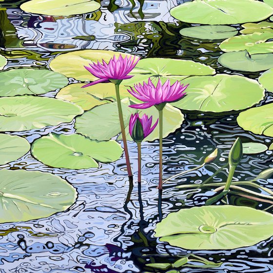 Lily Pond In Golden Gate Park