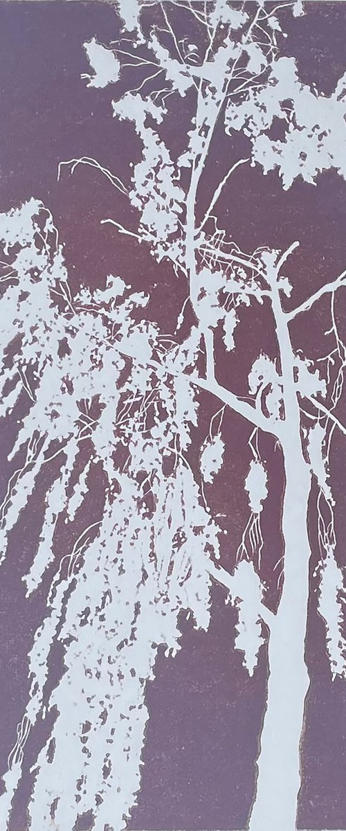 Birch Tree Linocut Print by C Staunton