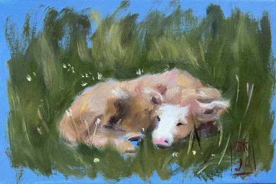 Meadow Nap