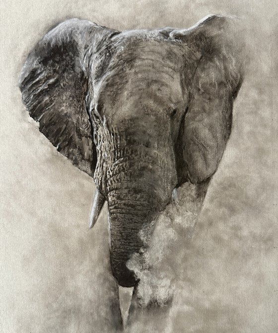 Dusty Elephant