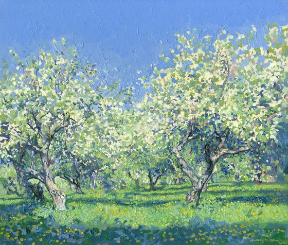 Apple tree in bloom. Kolomenskoye