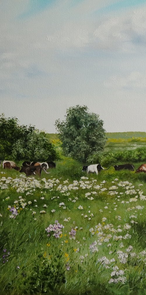 Grazing Cows in Summer by Natalia Shaykina