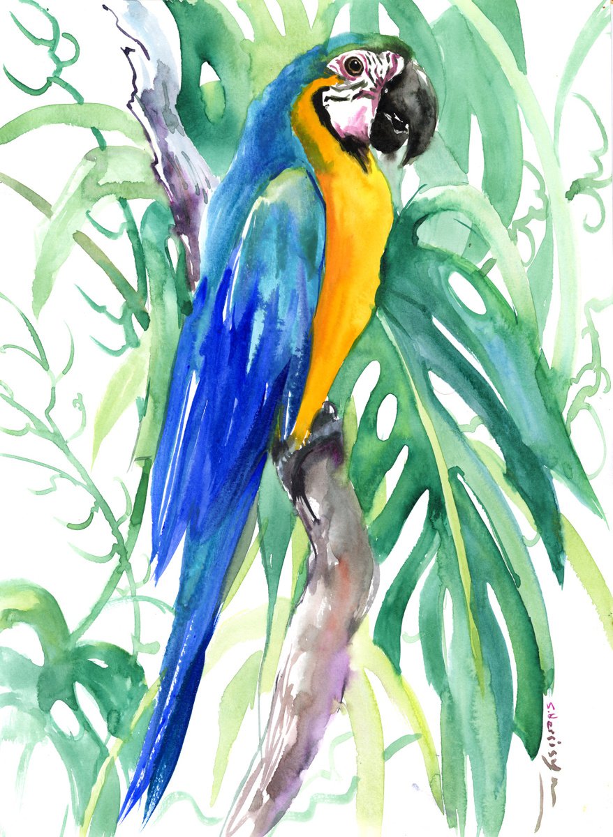 Blue and Yellow Macaw by Suren Nersisyan
