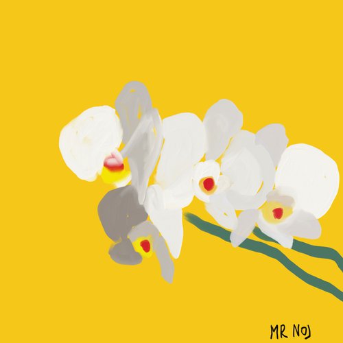 Orchidea by Mattia Paoli