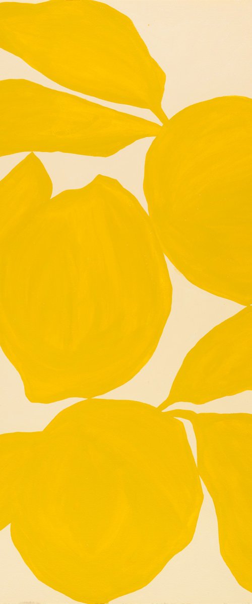 Lemons by Alícia Gómez