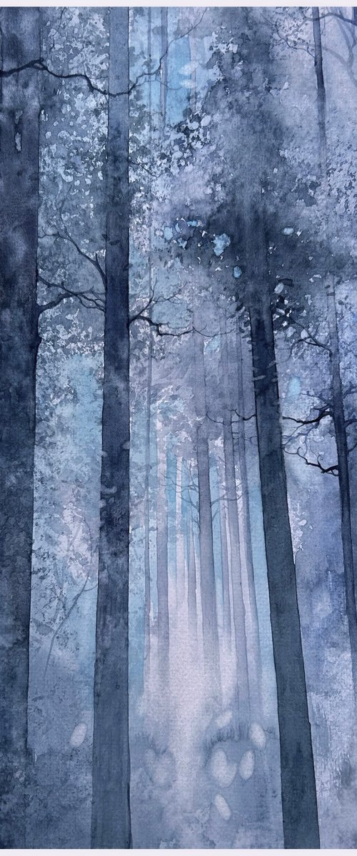 Winter mood by Nazar Grunyka