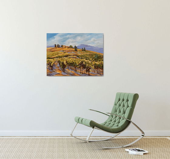 Vignes sous le soleil