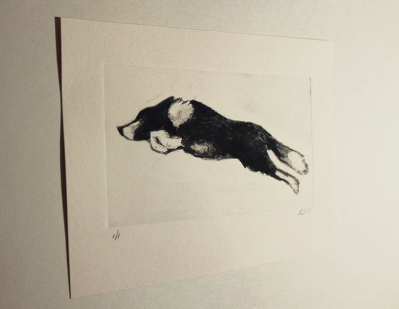 Running Collie, Dog Monoprint, One of a Kind Print