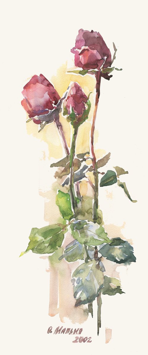 Three roses / ORIGINAL watercolor painting ~7.5x16,5in (19x42cm) by Olha Malko