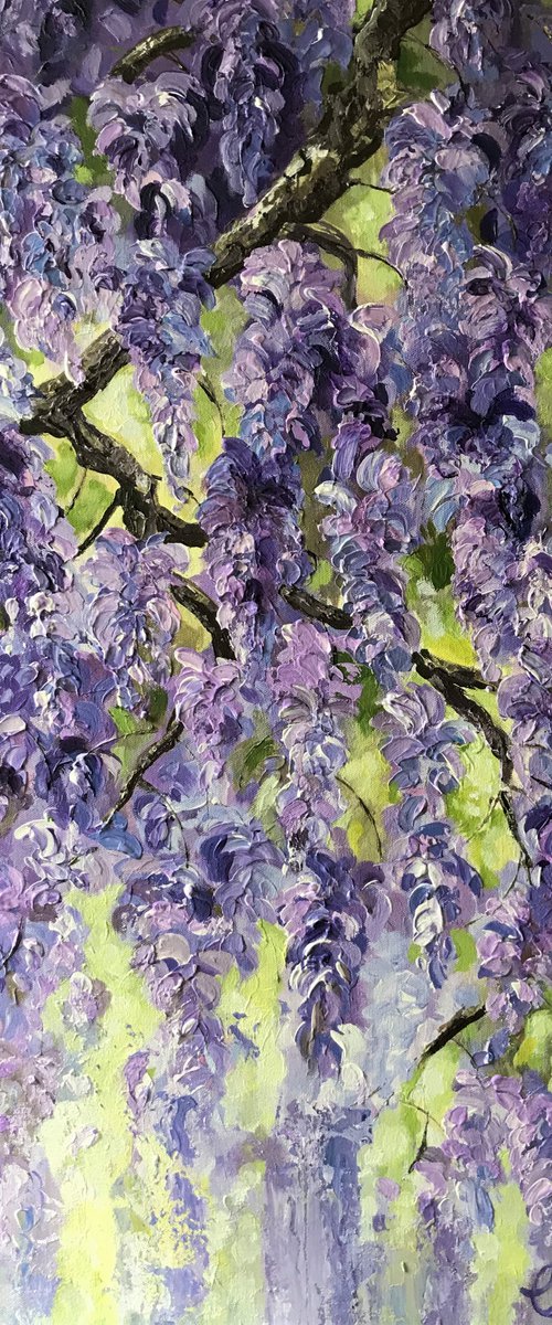 Wysteria no 2 by Colette Baumback