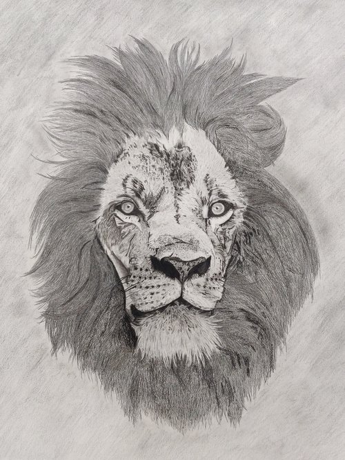 King of the Wild by Alexa Taylor
