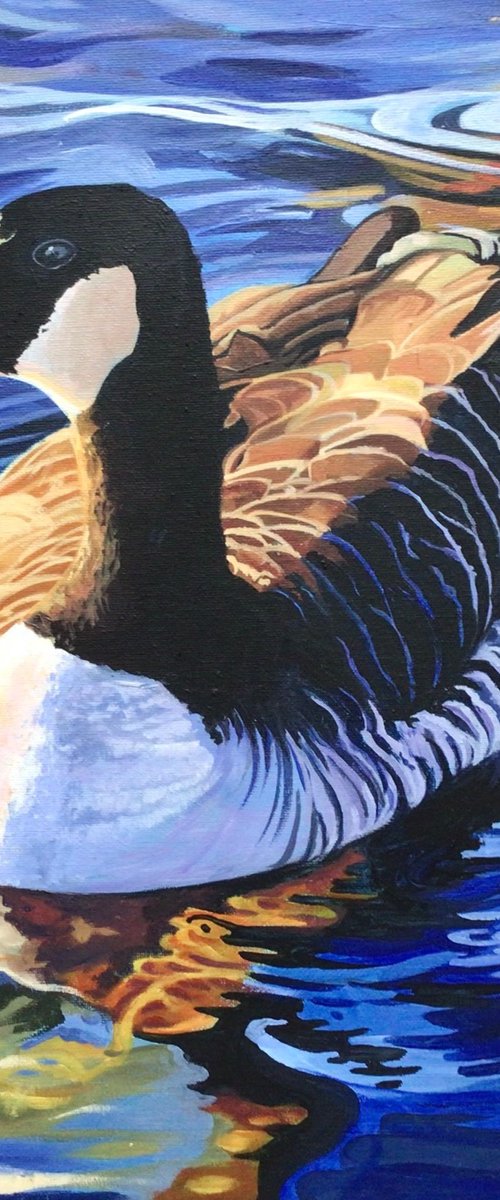 Canada Goose On The Serpentine by Joseph Lynch