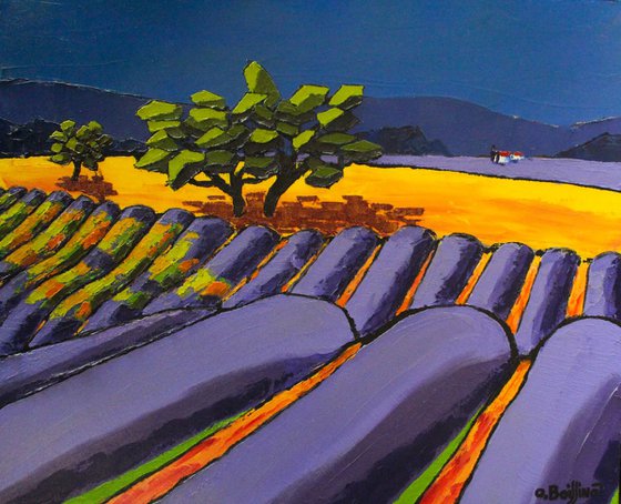 Provence Lavanders fields