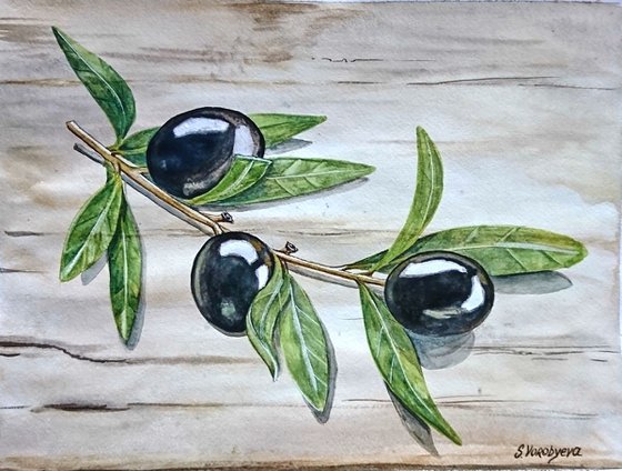 Mediterranean olives