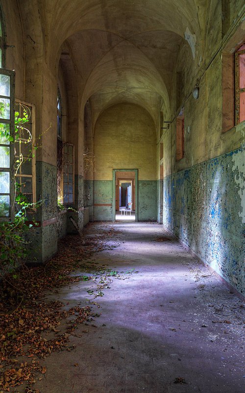 Peeling by Tim Knifton