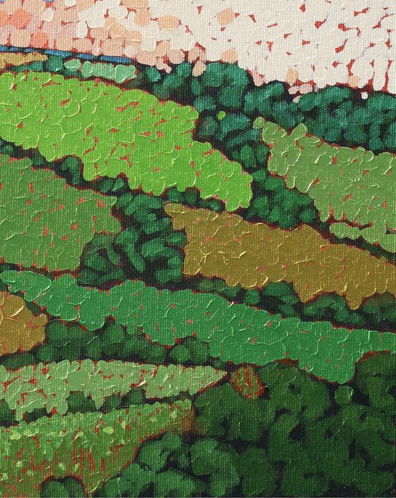 Patchwork Fields