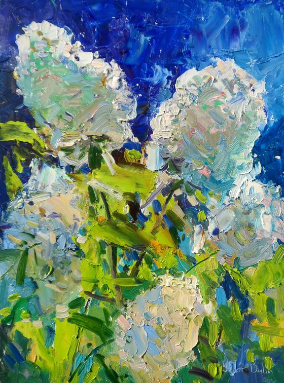 " Hydrangeas "