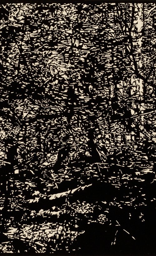 FIRST MEADOW by David Conn