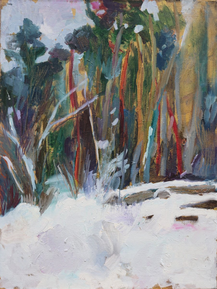 Winter Forest By Artem Andreichuk, 24 X 31, Artwork For Sale On Artfinder