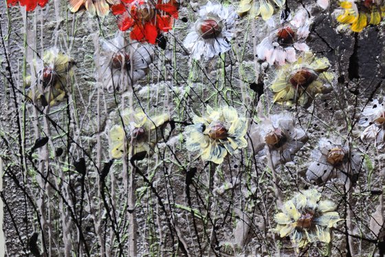 spring is coming