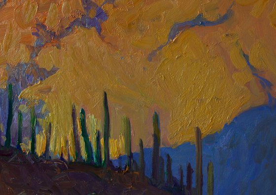 Saguaros in Desert, Evening