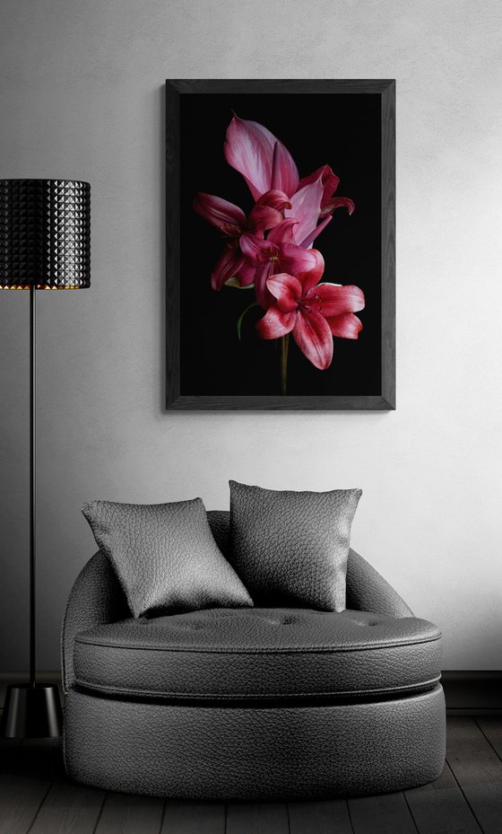 Anthurium and Lilies