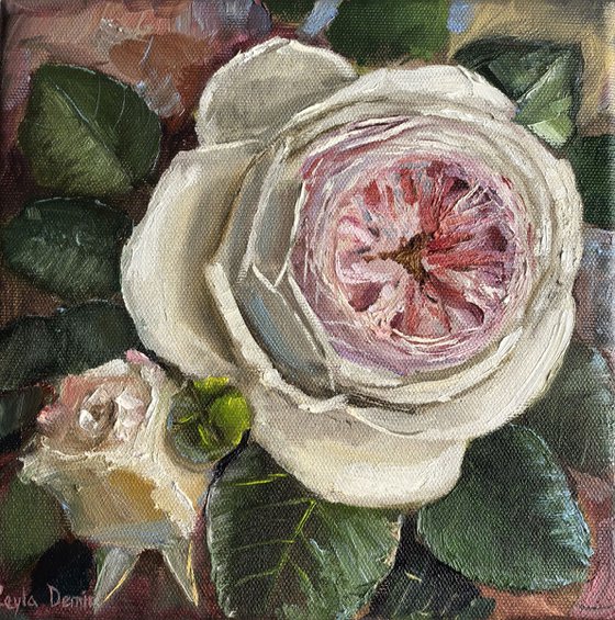 Pink roses still life