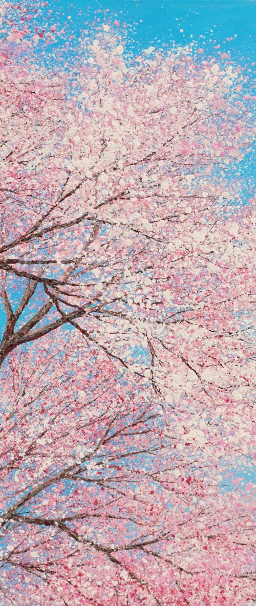 CHERRY BLOSSOM DANCES IN THE BLUE SKY by Chris Bourne