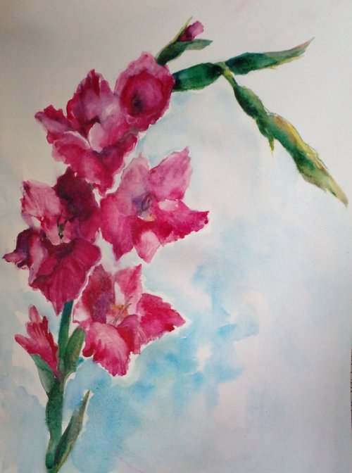 Fuchsia color Gladioli by Oxana Raduga