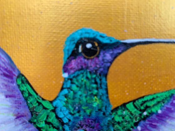 Hummingbirds in Flight