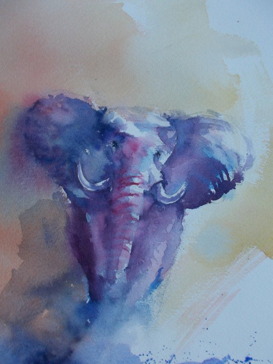 elephant 2