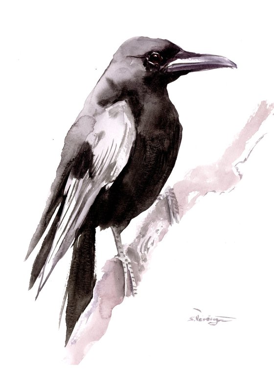 Crow