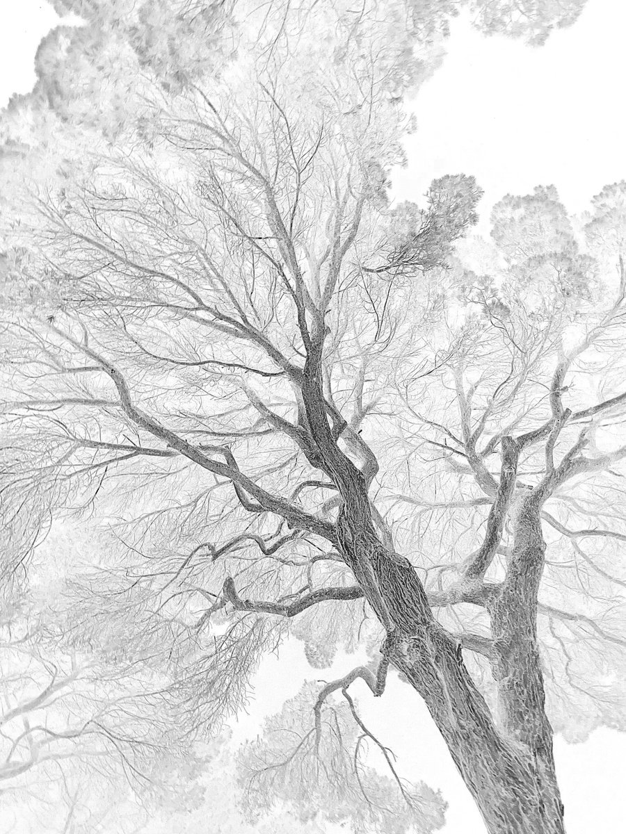 Photorealistic Photograph , Nt#174 Summer Night #3 By Mattia Paoli, 44 X 59, Artwork For Sale On Artfinder