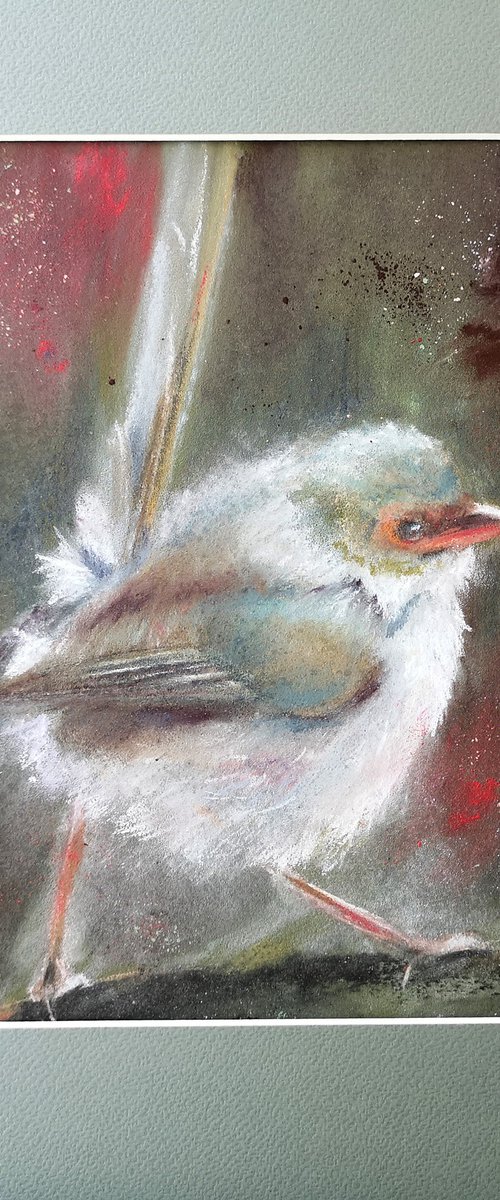 Wren on the branch by Olga Tchefranov (Shefranov)