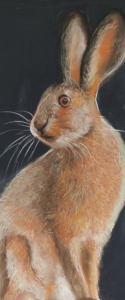 Hare by Els Driesen
