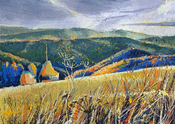 Between Rain and Sun