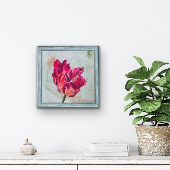 Framed Pink Tulip