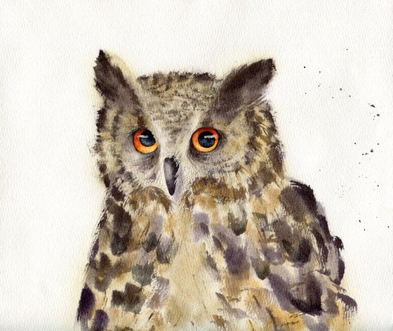 Watercolor portrait of an owl. Animalism. Original watercolor.
