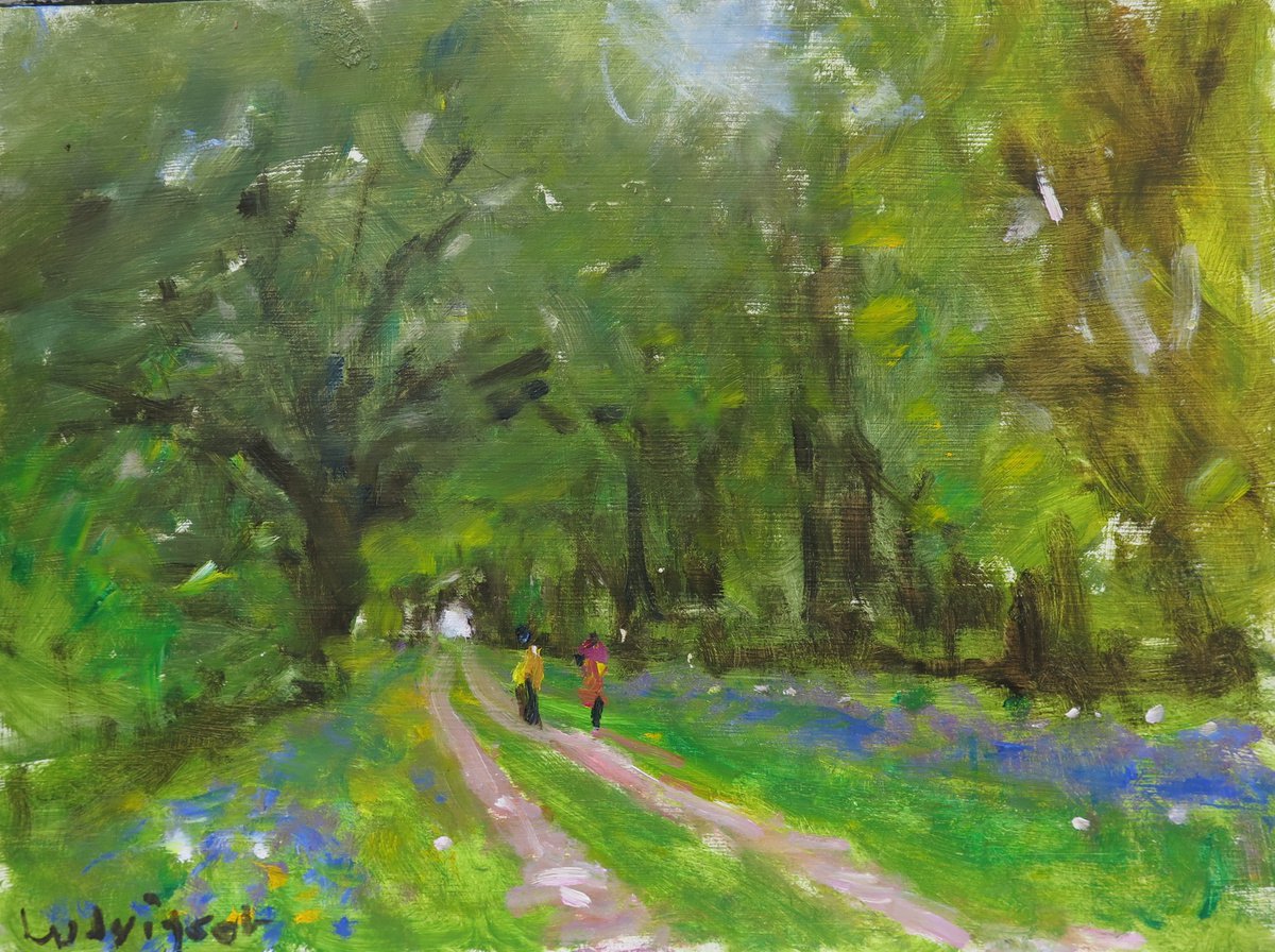 Bluebell Wood 2 by Malcolm Ludvigsen