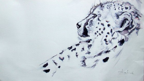 Study of Cheetah I